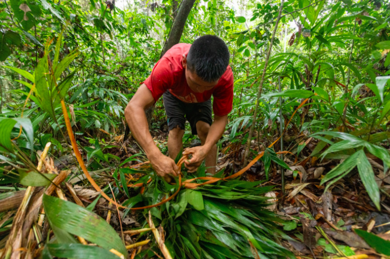 BancoSol lanza Impacta, su programa insignia de acción climática